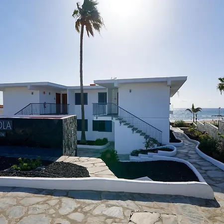 Apartment Amapola Coral - Recien Reformado, Frente A La Playa San Agustín